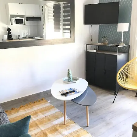 Studio Terrasse 60M Plage Διαμέρισμα
