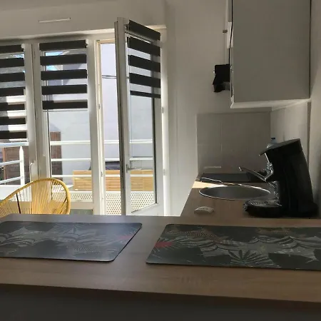 Studio Terrasse 60M Plage Διαμέρισμα