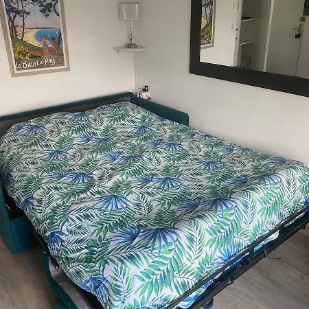 Διαμέρισμα Studio Terrasse 60M Plage *
