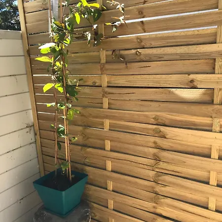 Studio Terrasse 60M Plage Διαμέρισμα